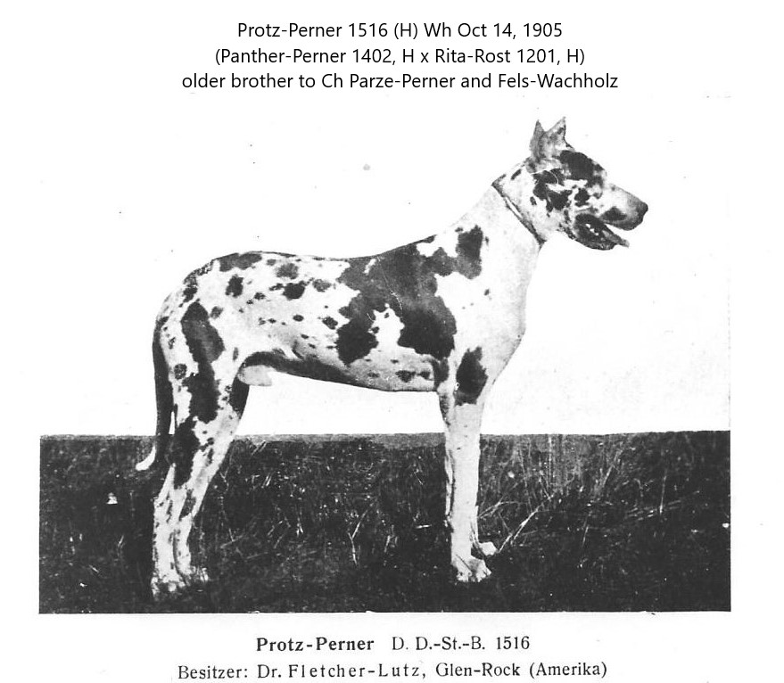 Protz-Perner